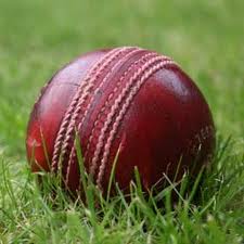 Leather Cricket Balls Manufacturer Supplier Wholesale Exporter Importer Buyer Trader Retailer in Meerut Uttar Pradesh India